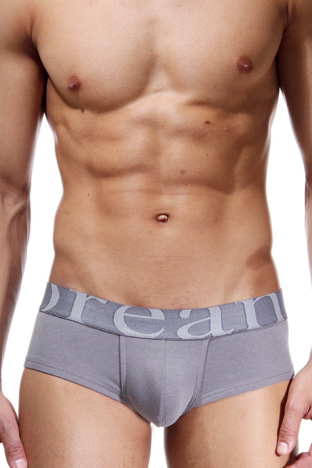 Doreanse Men's Smokey Grey 1779 Hipster Underwear (M/33-34'',)