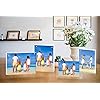Product Photo 7