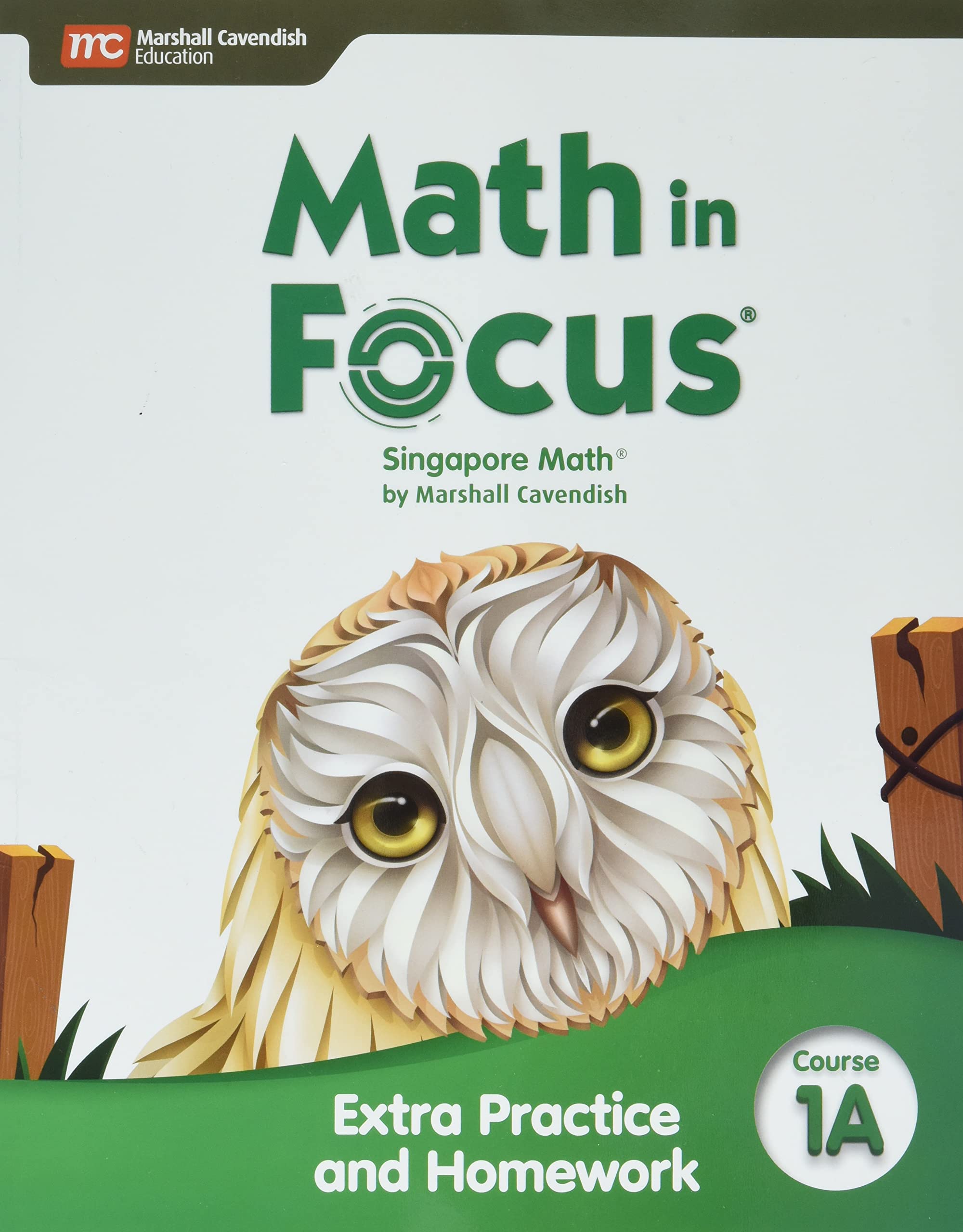 Extra Practice and Homework Volume A Course 1 (Math in Focus)
