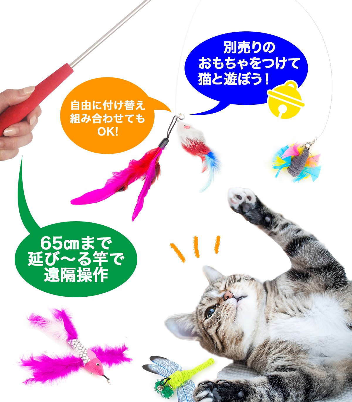 ねこちゃ出品 10%OFF！スーパーSALE】猫小町カラー 金魚 オレンジ【会員様限定