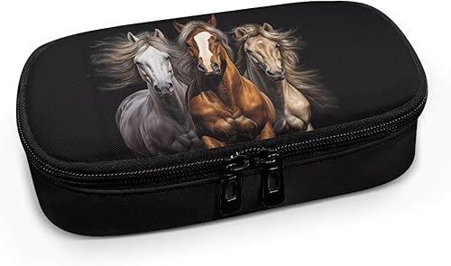 Miniatura 2 de Black Horse - Funda de viaje con aislamiento para medicamentos diabéticos, bolsa de transporte con bolsa adicional para bolígrafo de insulina y