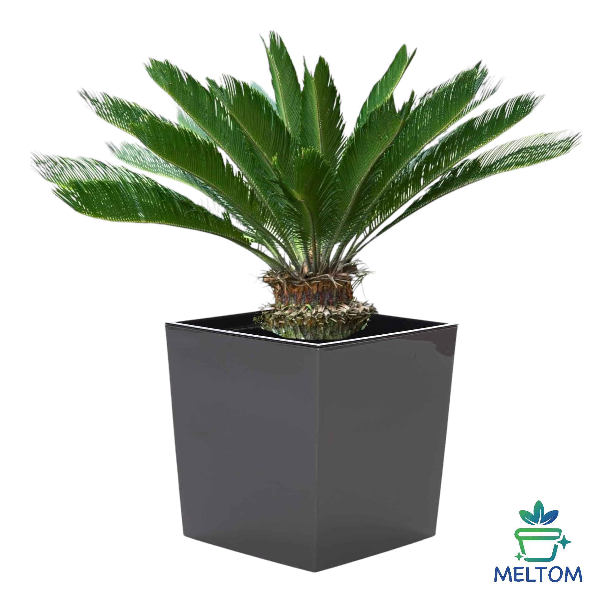 MELTOM Fioriera con sistema di irrigazione, rotonda, lucida