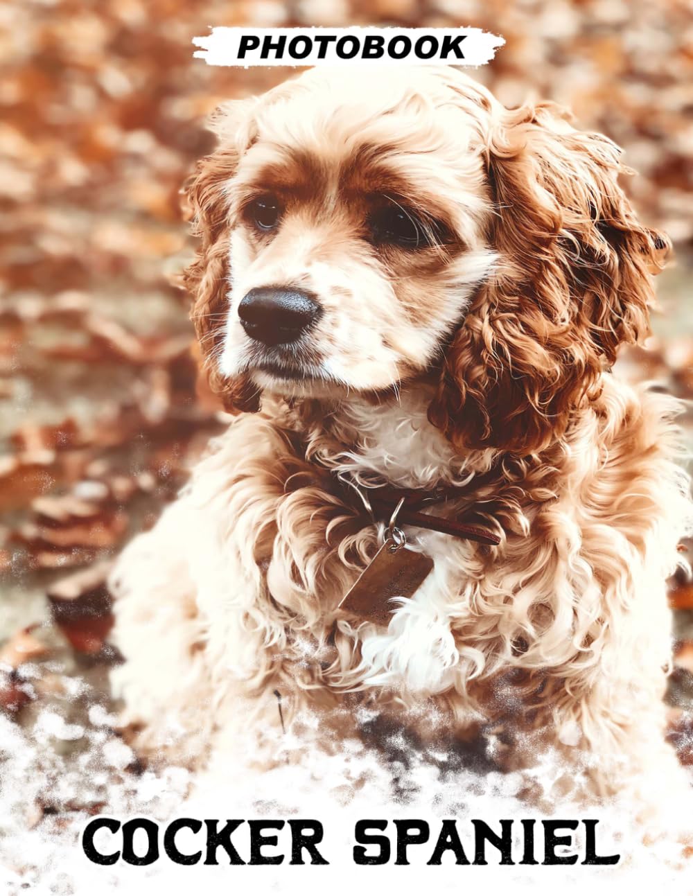 Cocker Spaniel Photo Book: Energetic Sporting Breed Images Showcasing Silky Ears And Playful Nature Moments In Colorful Pet Photography