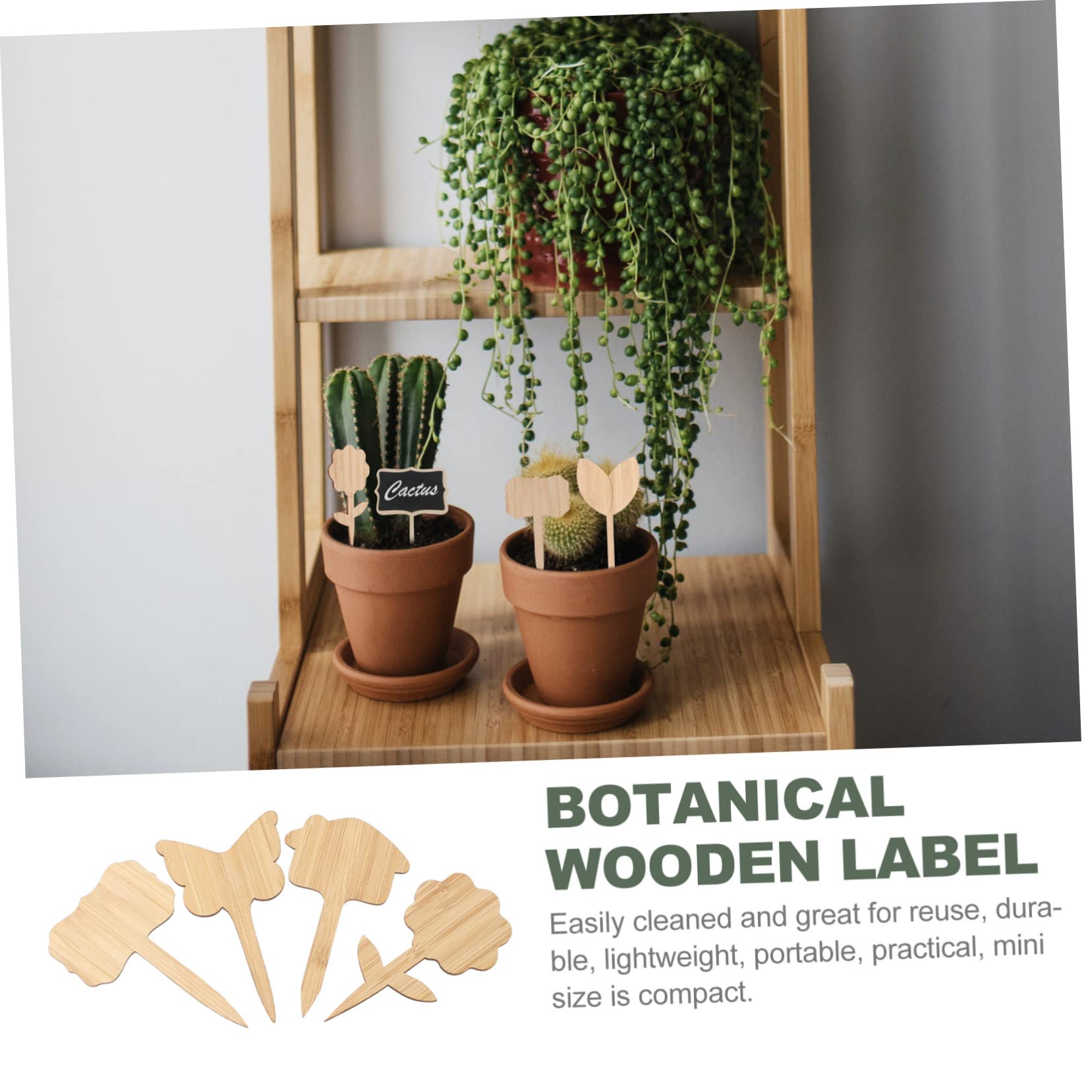 Kisangel 4 Ensembles Marqueurs De Plantes En Bambou Étiquettes De Fleurs De Jardin Étiquettes De Plantes Succulentes Étiquettes De Pots Étiquettes De es es 40 pièces * 4
