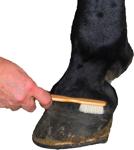 Miniatura 2 de Brocha Blister Mango de madera con cerdas naturales.