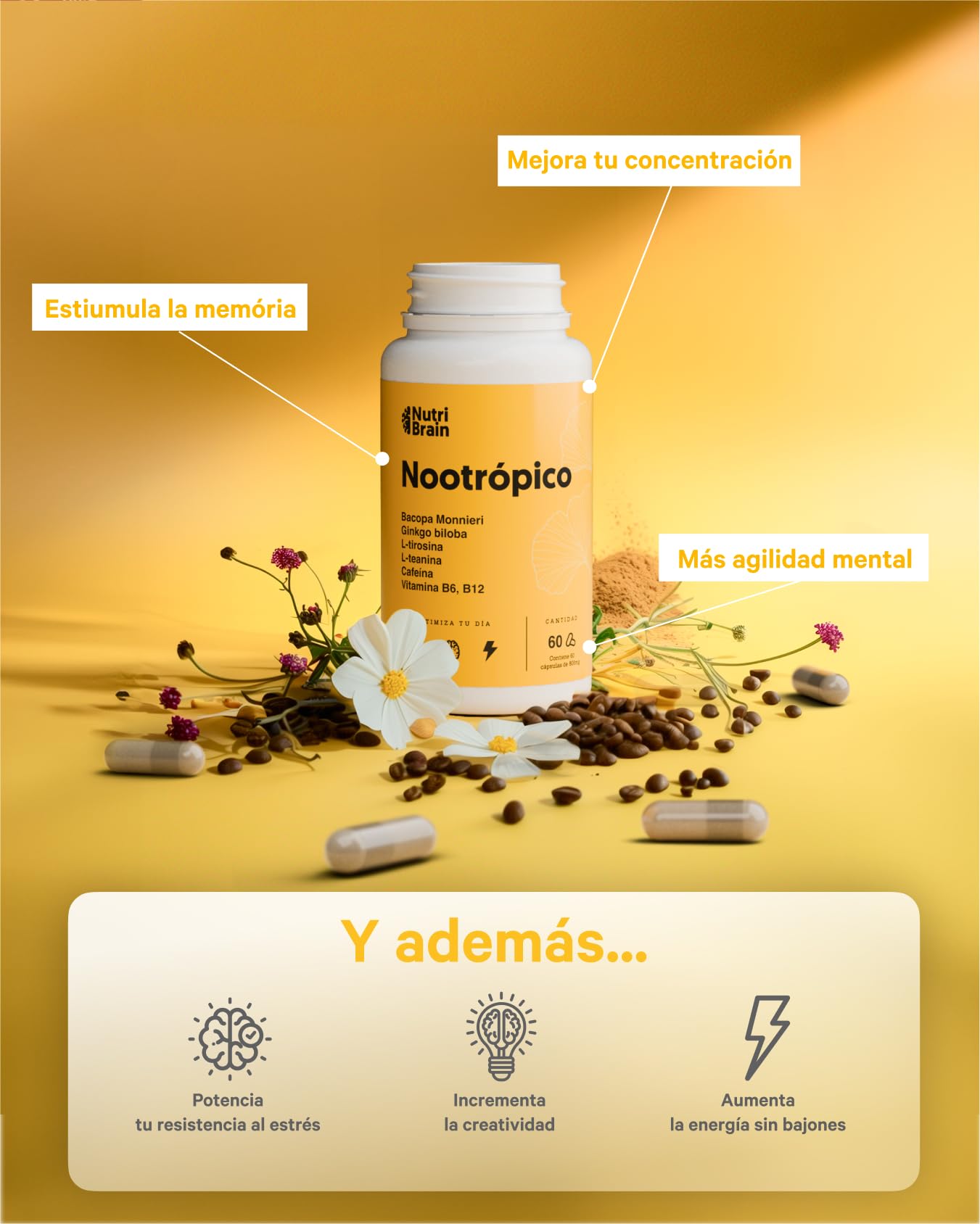 Nootrópico Natural Envase XL 60 Cápsulas | Fórmula para incrementar la energía, concentración y agilidad mental | Cafeína, Ginko Biloba, Tirosina, Teanina, Bacopa Monnieri y Vitaminas