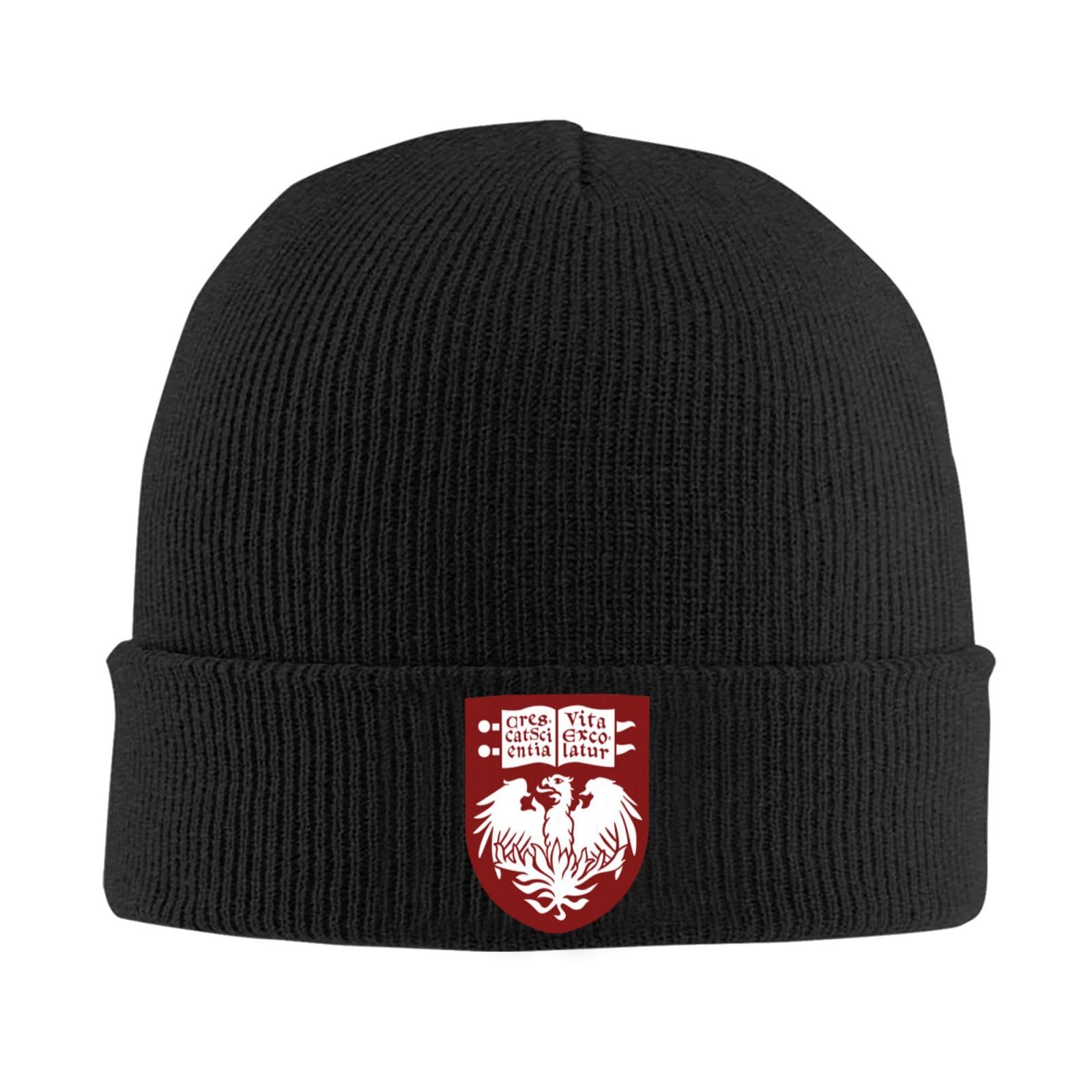 Orldit The University of Chicago Beanie Hat for Men and Women Winter Warm Hats Knit Slouchy Thick Skull Cap Black
