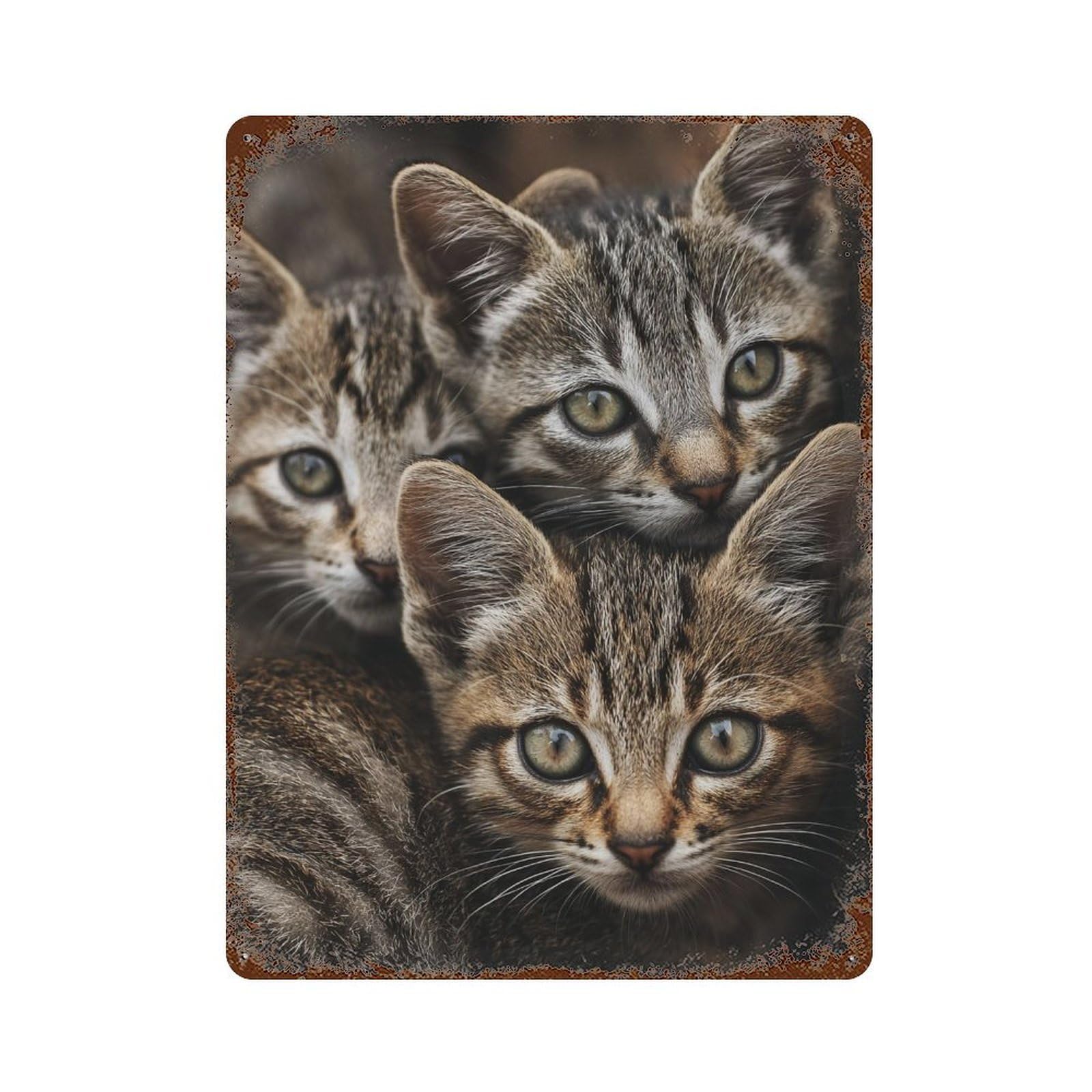 Vintage Rust Metal Sign Adorable Tabby Kittens 15.7"x11.8", Old School Wall Decor for Garage, Bar And Workshop Decor