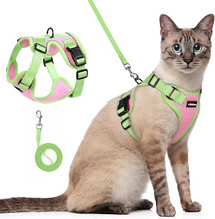 rabbitgoo Cat Harness and Leash Set, Escape Proof, Pink & Light Green
