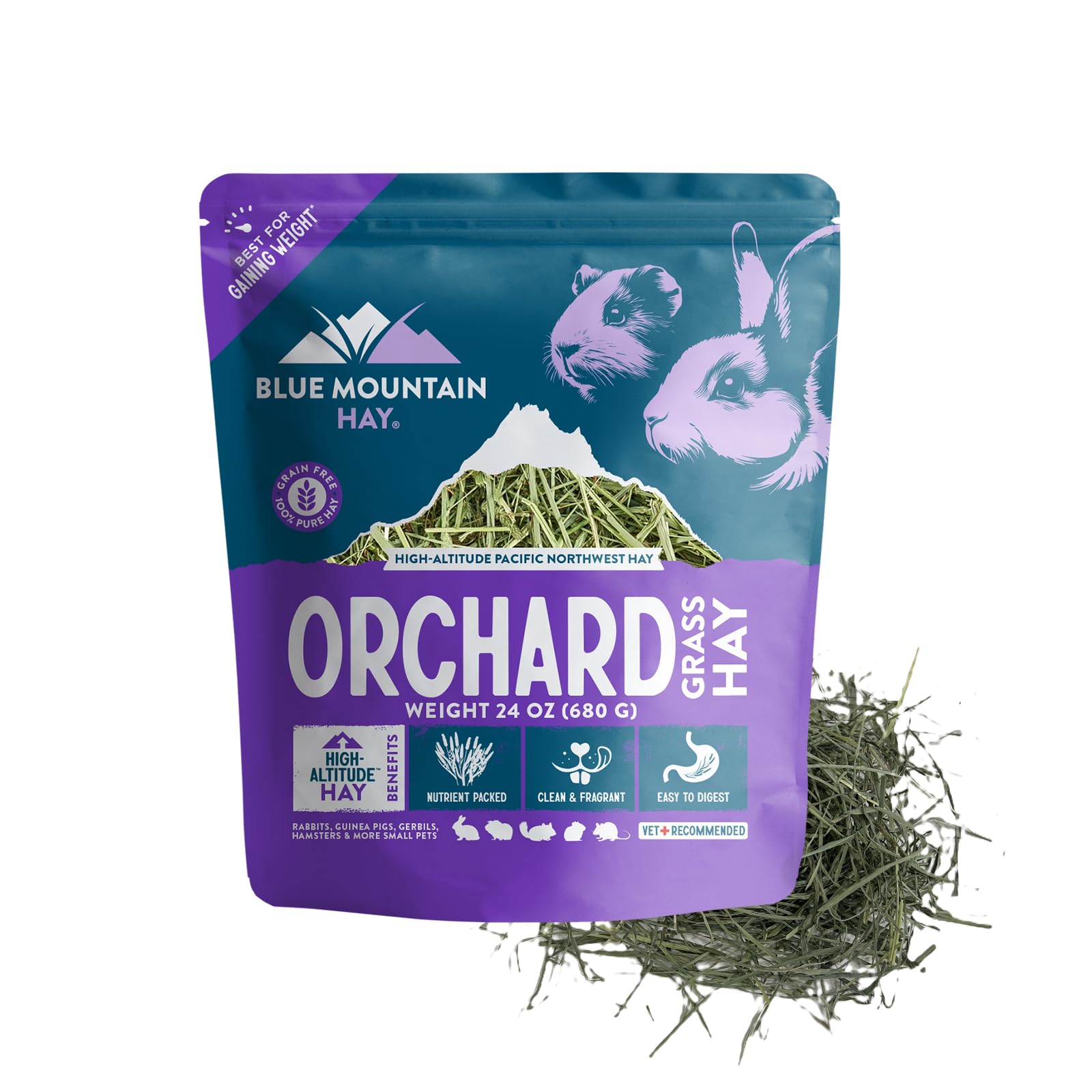Blue Mountain Hay Orchard Grass Hay for Small Pets, High Fiber Feed, 24oz