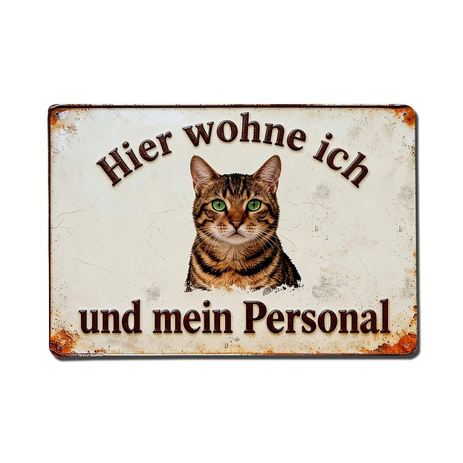 Cat Portrait Sign Text German Retro Metal Tin Sign, Vintage Metal Poster for Home, Gaming Room, Studio Workshop,Bar,Garage Wall Art Decor 8x12 Inch