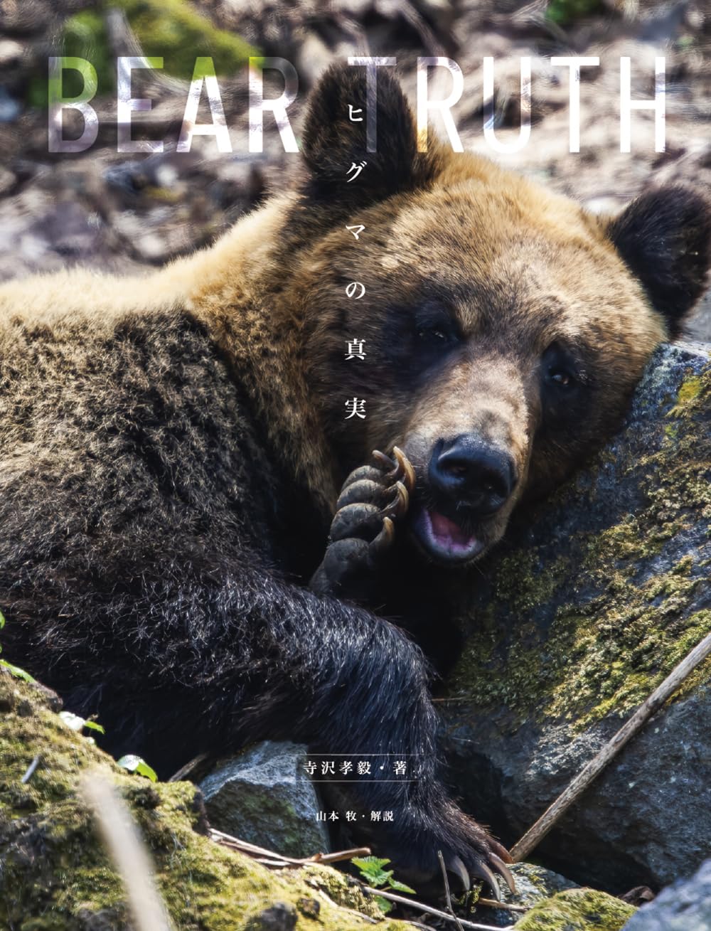 ピグマシリーズ 2021年2月から 新3年 11ヶ月分 パワードリル 一