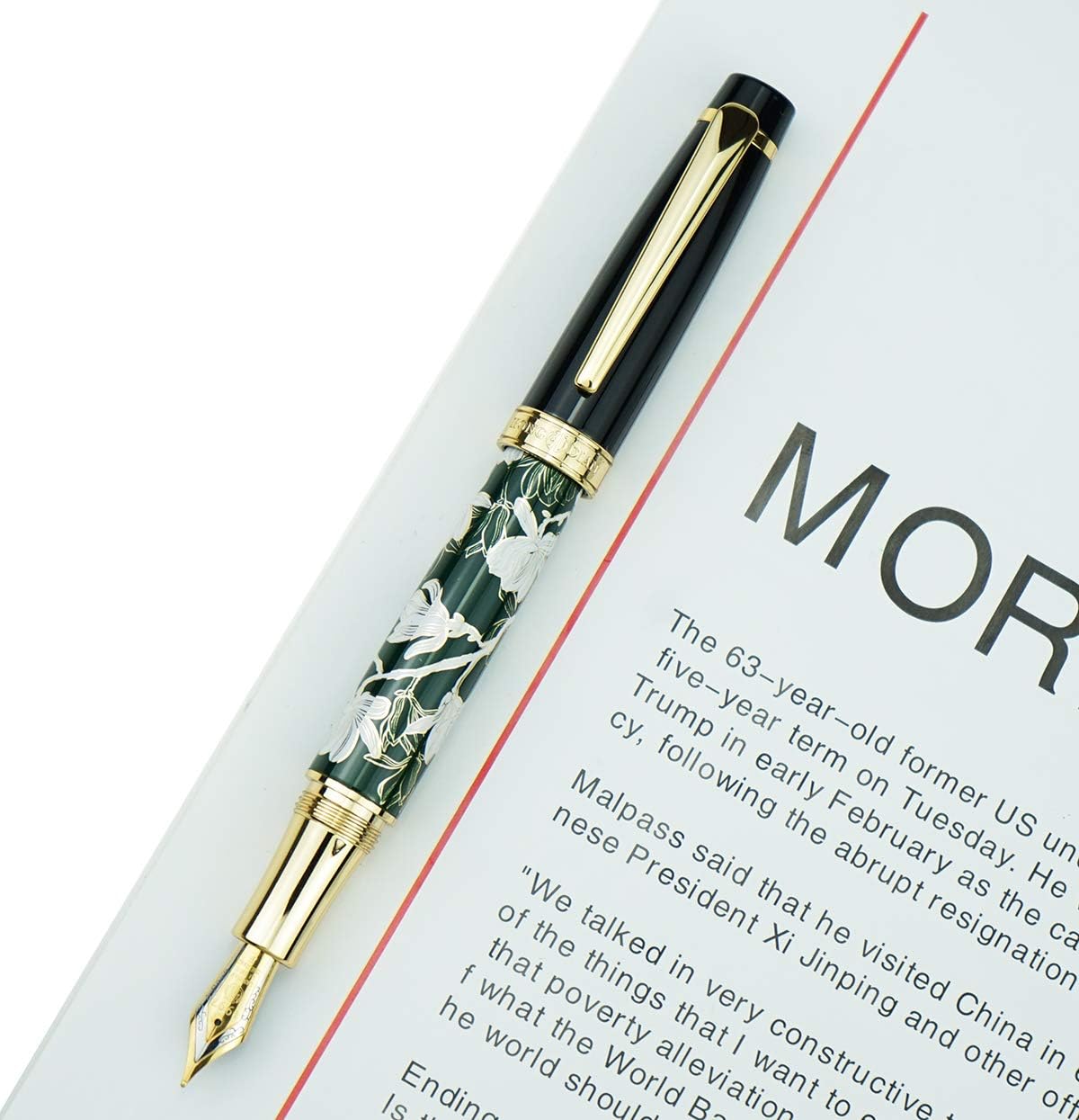 Hongdian Fountain Pen Fine Nib Green Barrel, Cloisonne Flower Painting with Metal Box