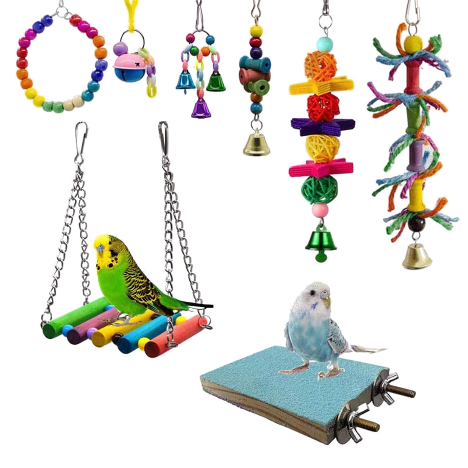 Fournitures de formation conure pour des moments de jeu complices dans votre salon