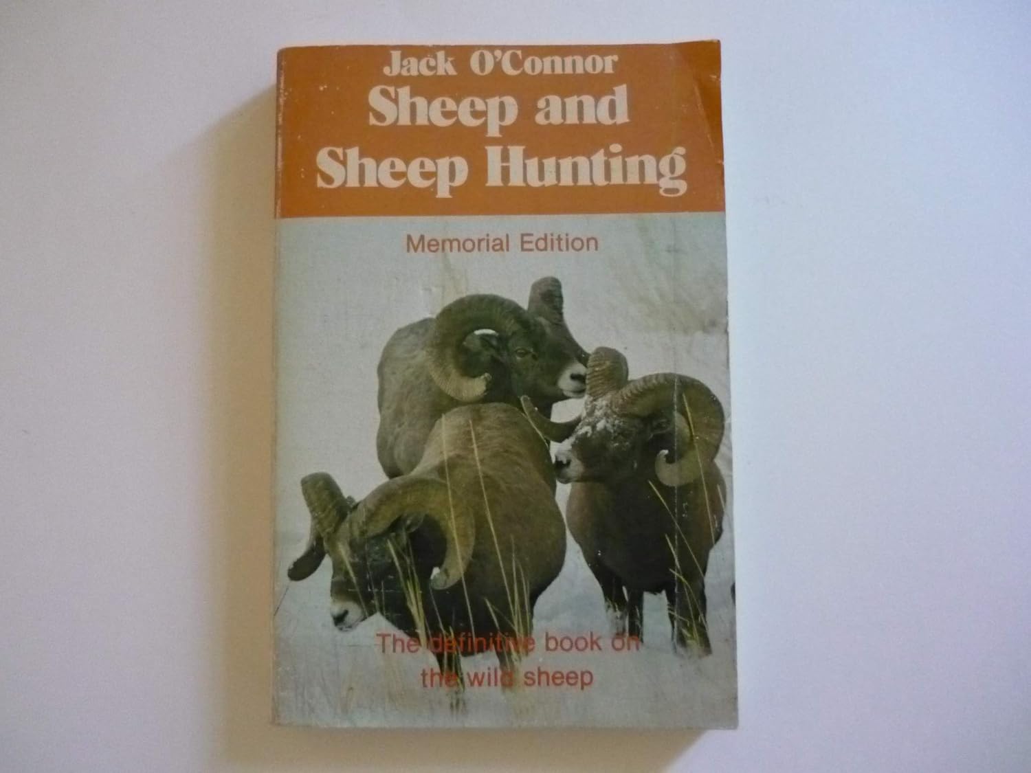 Buy Sheep and Sheep Hunting Book Online at Low Prices in India Sheep