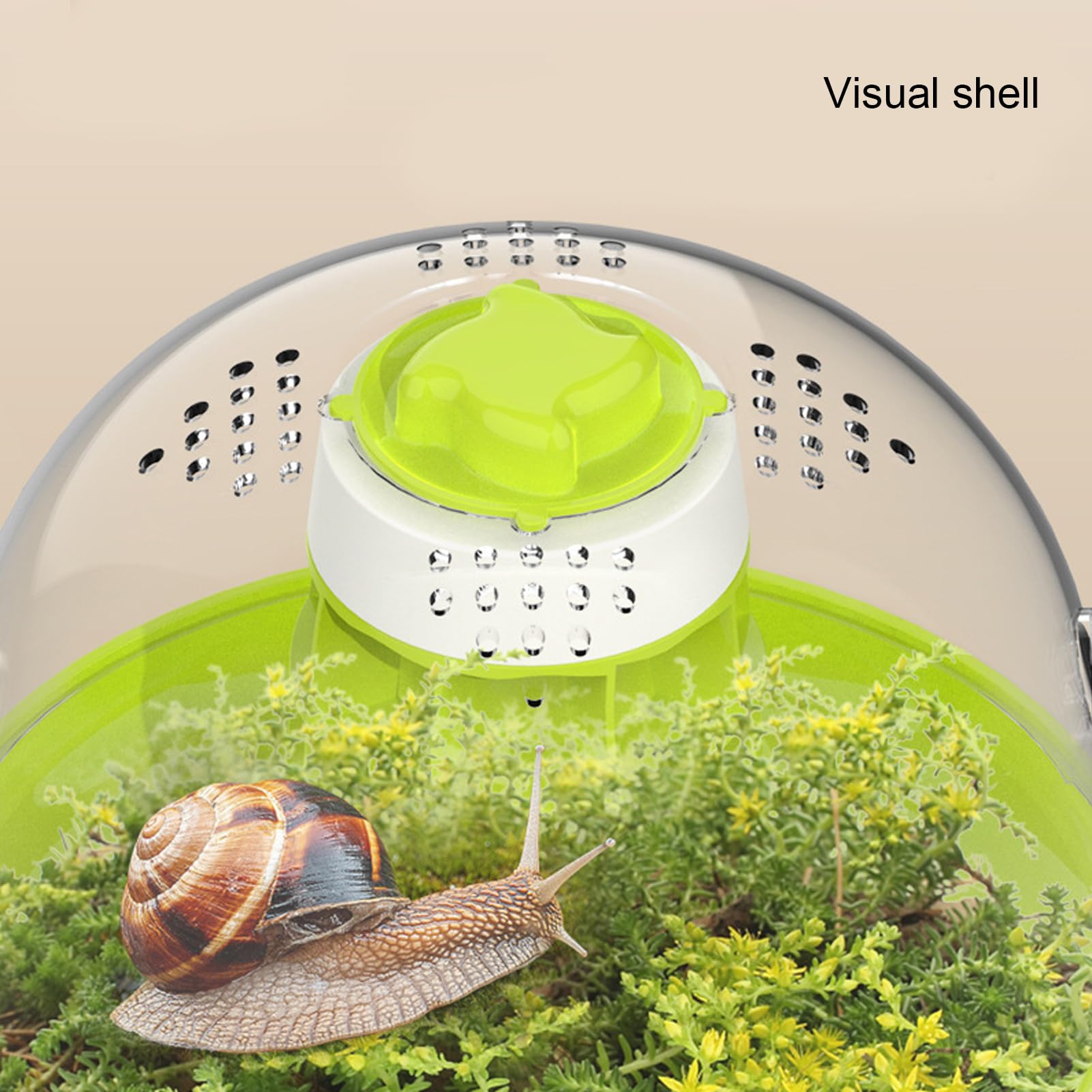 Boîte d'Observation d'Escargots Transparente, Matériel Pédagogique Scientifique pour Enfants, Conception Innovante, Cadeau Éducatif