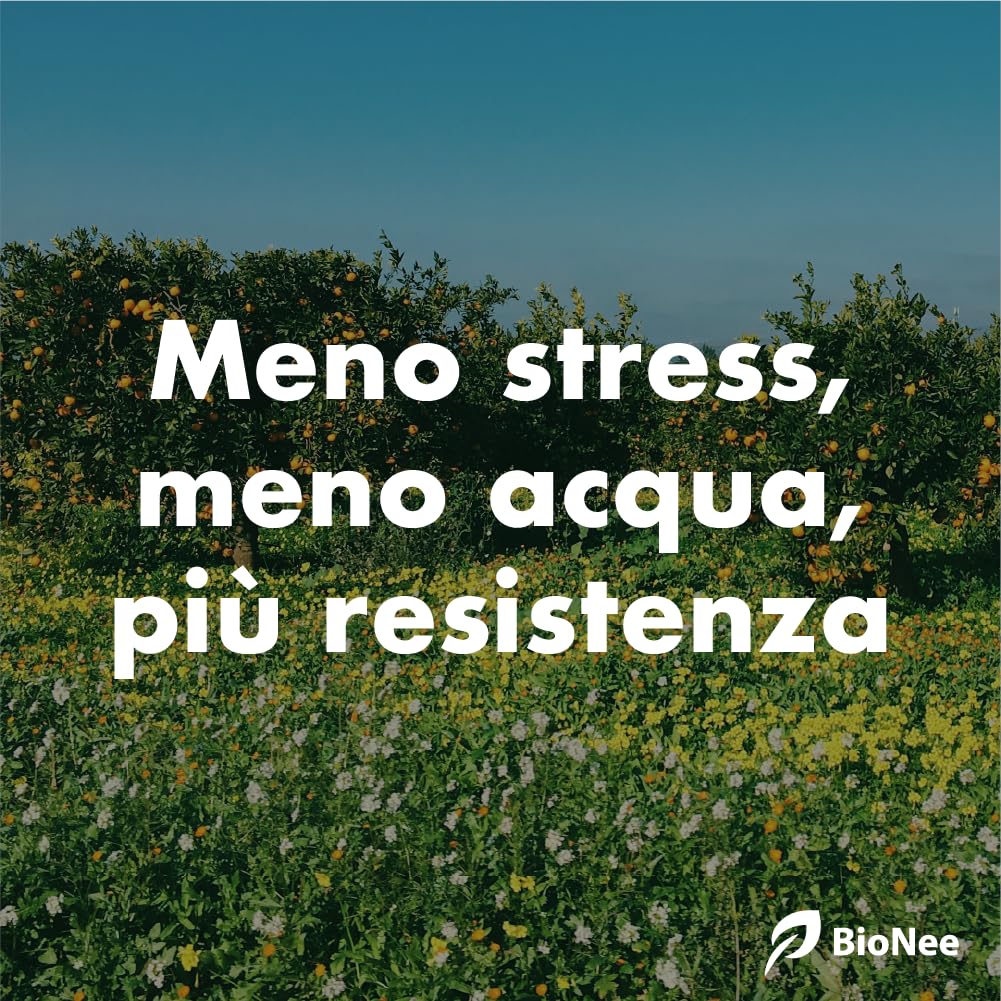 Caolino Flow in sospensione corroborante potenziatore difese naturali MOSCA DELL'OLIVO (5 L)