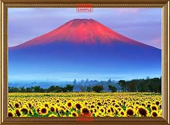 713MK0NeClL._AC_UF350,