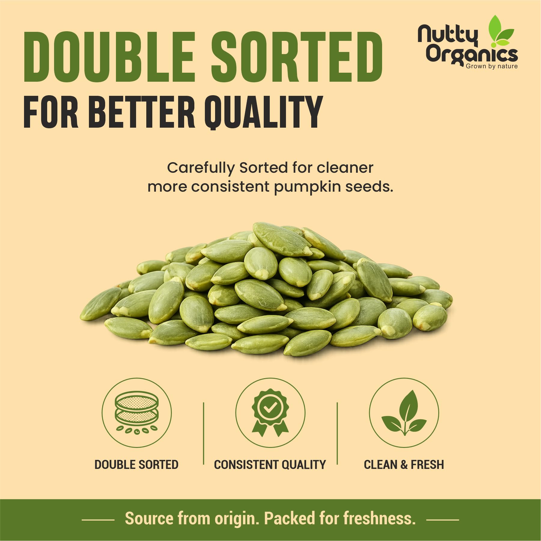 NUTTY ORGANICS Natural Pumpkin Seeds 200GM | Raw Pumpkin Seeds for Eating- Immunity Booster and Protein Rich Seeds | Healthy Diet Snacks | Weight Management 1