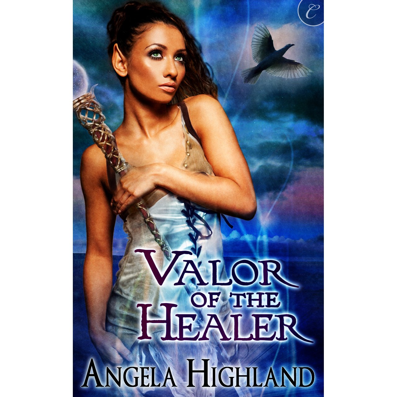 Cover art for Valor of the Healer