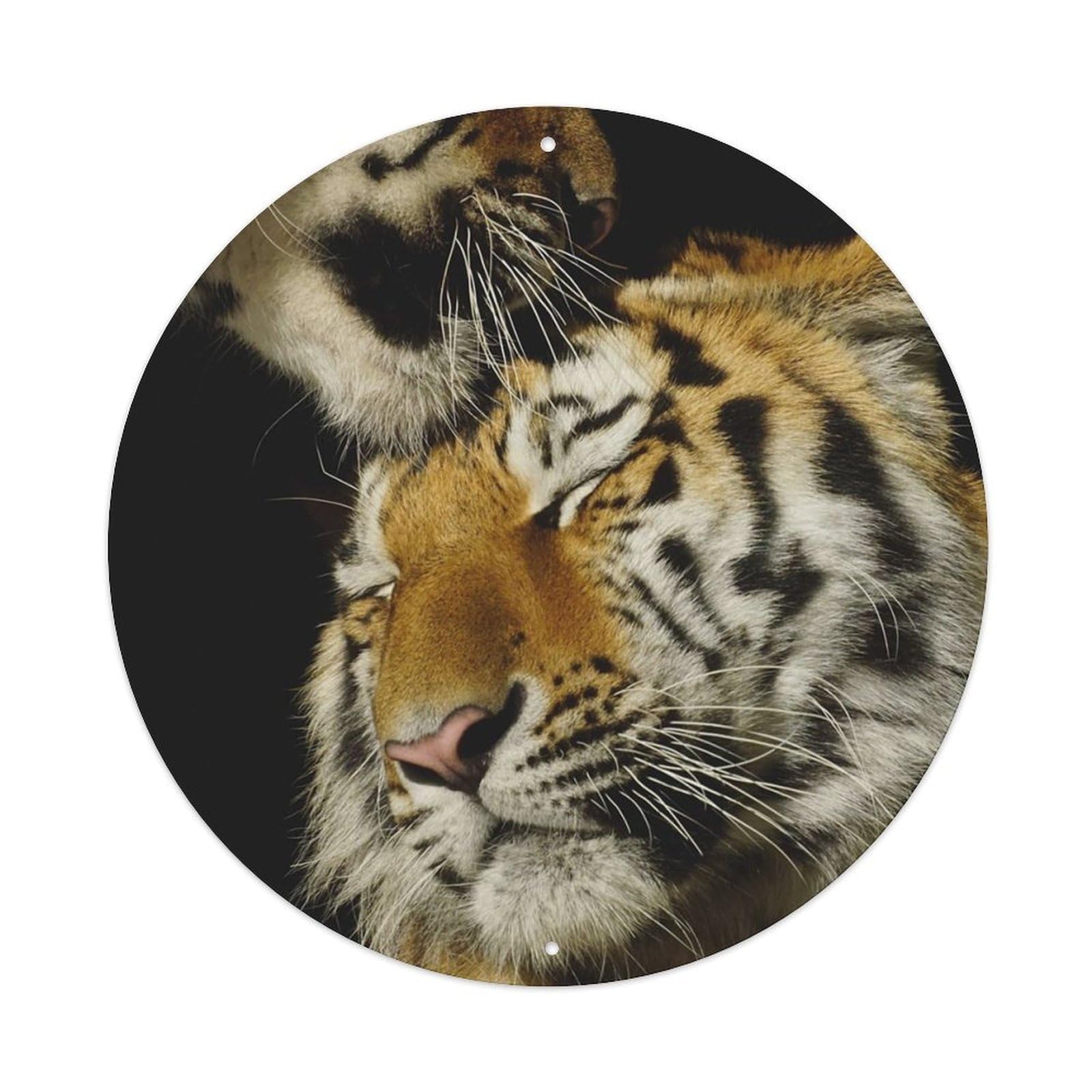 Jungle Wildlife Poster Bengal Tiger Roaring Metal Tin Sign