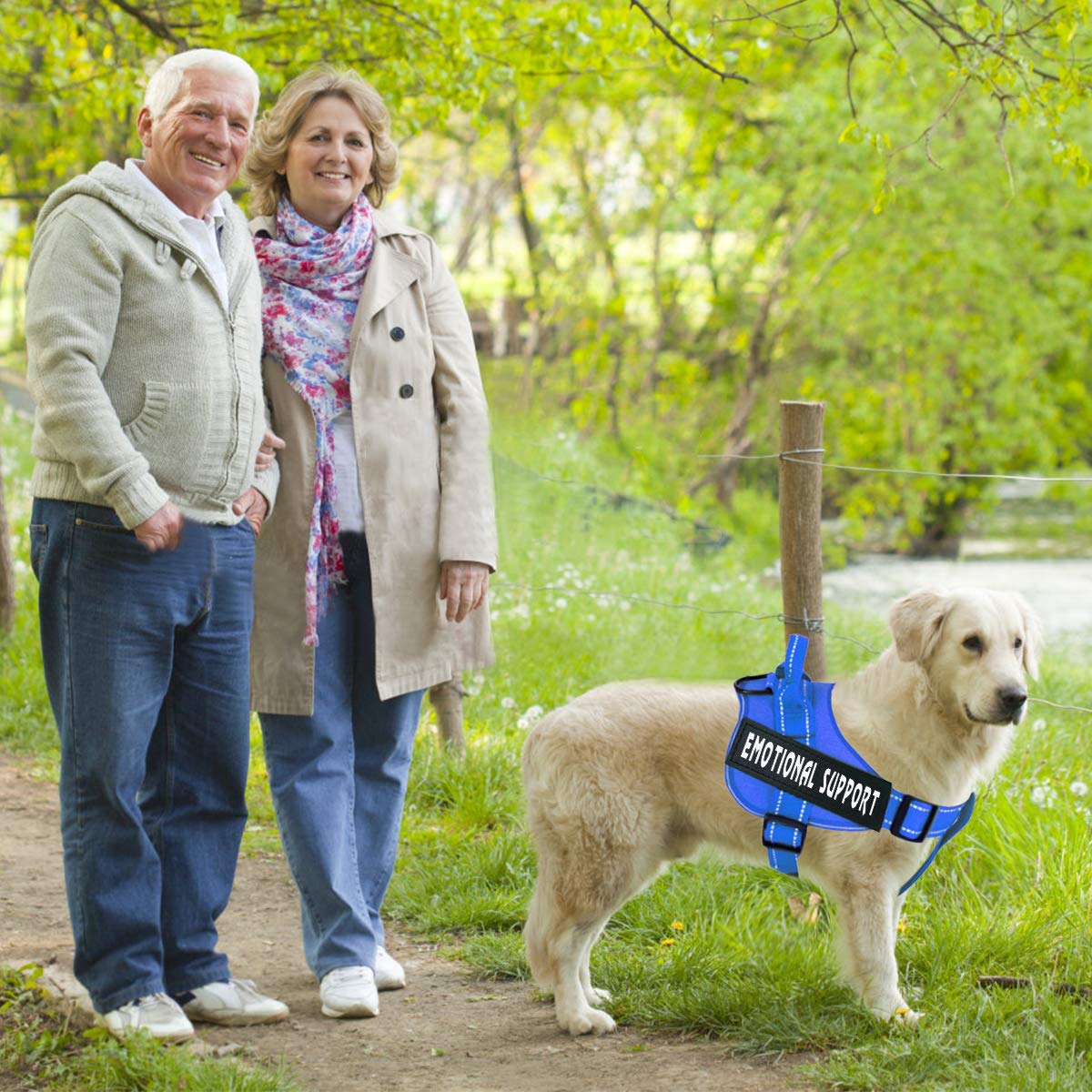 support dog vest amazon