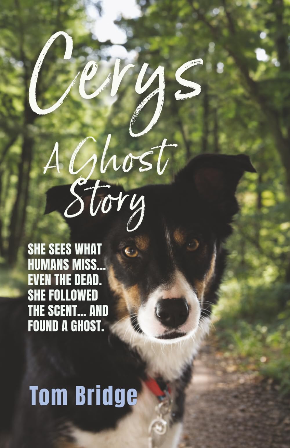 Cerys, A Ghost Story: A supernatural murder mystery