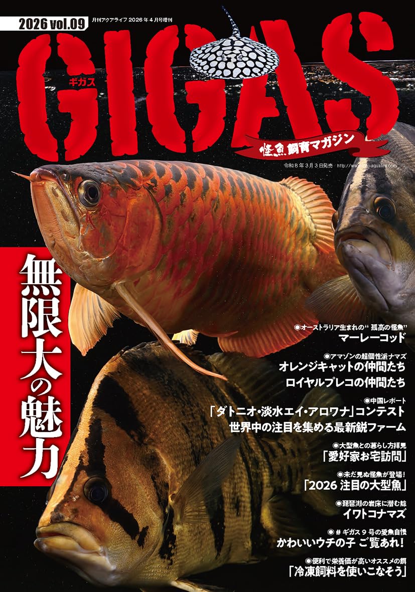 怪魚飼育マガジン GIGAS(ギガス) 2026 vol.09 [雑誌]: 月刊アクア