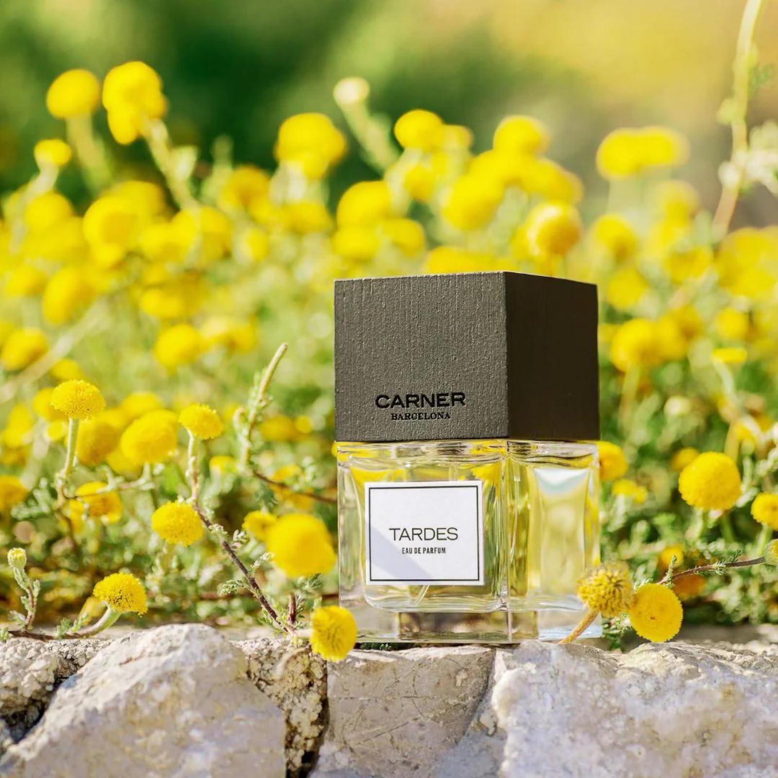 香水(ユニセックス) CARNER TARDES 50ml Amazon.com : Carner Barcelona Tardes Eau De Parfum 100ml : Beauty