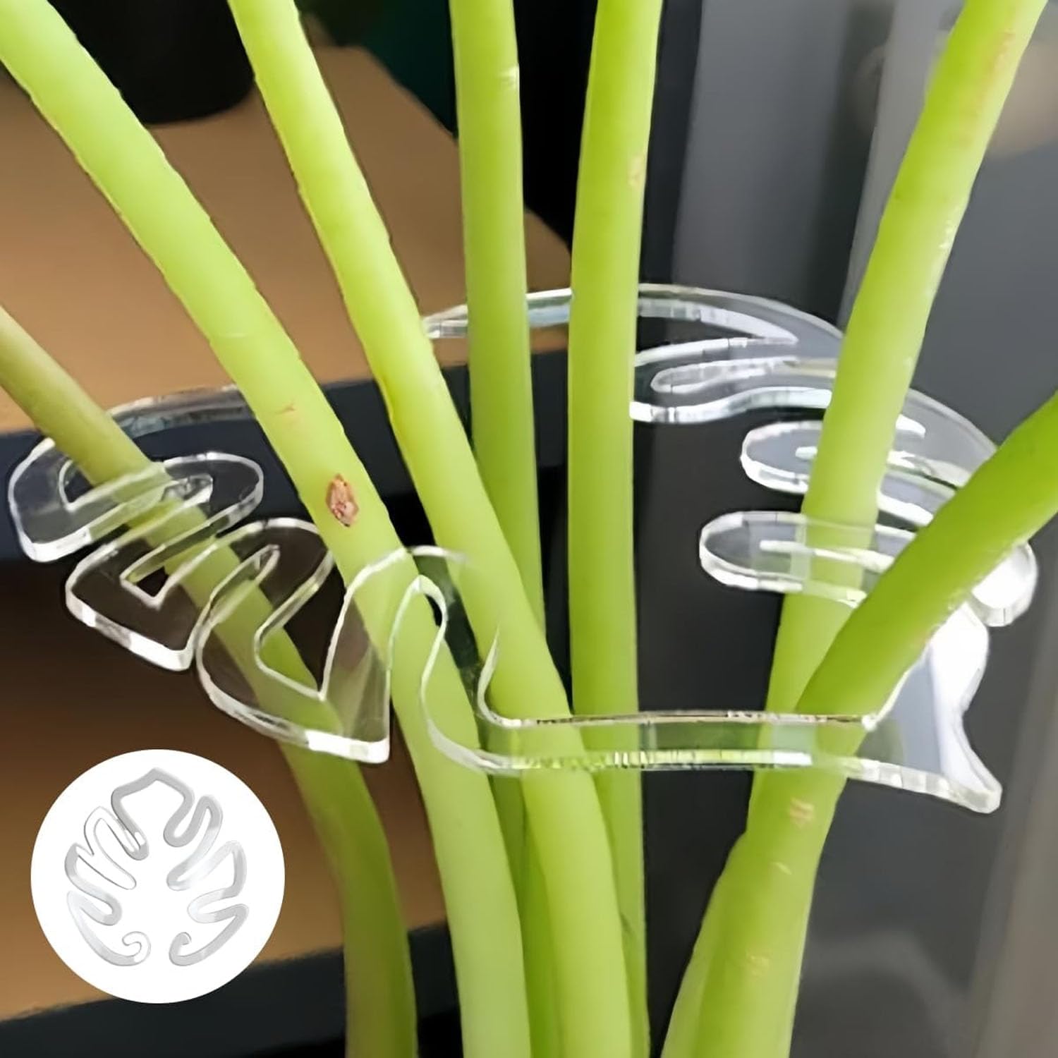 2 Pcs Moss Pole Monstera Plant Support Stakes, Monstera Trellis Indoor, Plant Stem Holder, Clear Stem