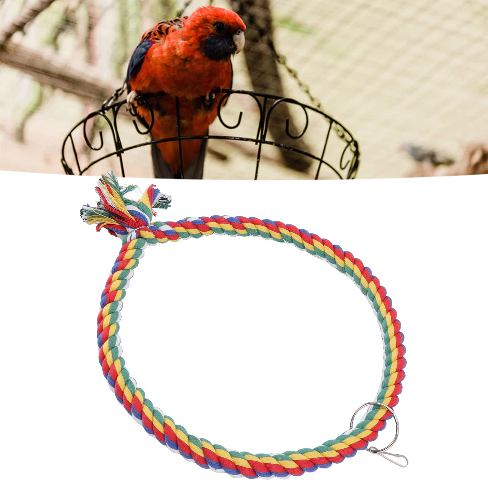 Altalena per Pappagalli con e Corda di Cotone - Cerchio da Arrampicata per Uccelli - Disponibili Misure Piccole e Grandi - Ideale per Giochi all'Interno Ed all'Aperto