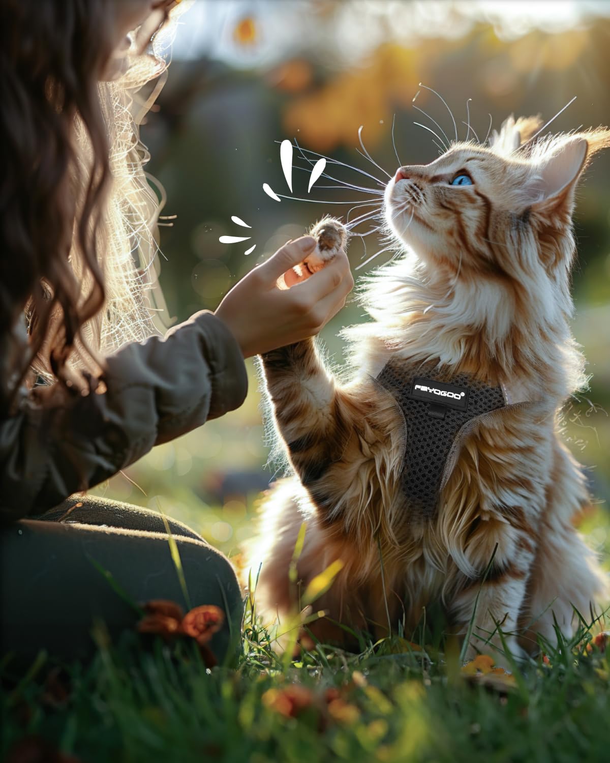 FAYOGOO Pettorina Gatto Piccolo, Guinzaglio per Gatti Pettorina Gatto Antifuga, Regolabili con Rivestimento Riflettente Guinzaglio per Cuccioli o Gatti Passeggiate all'aperto