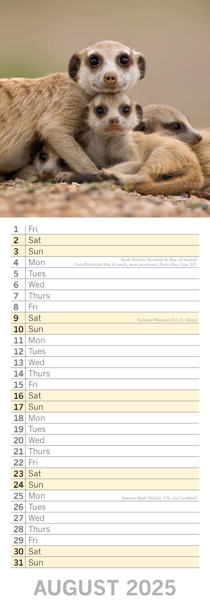 2025 Slimline Wall Calendar, Adorable Animals, 12-Month Animals Theme with 180 Reminder Stickers (14.5 x 42 CM) - Image 3