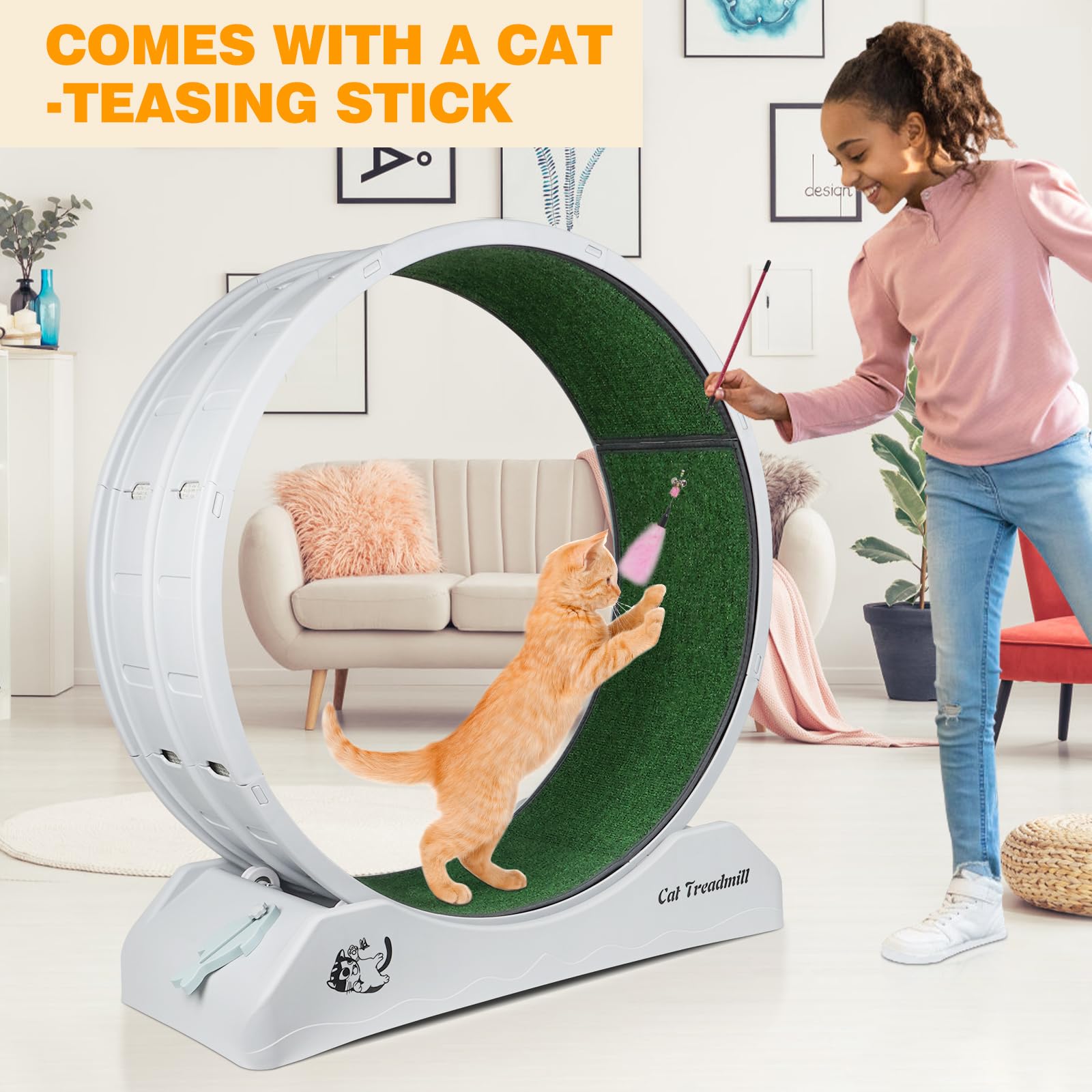 https://m.media-amazon.com/images/I/713MmUMcxxL.jpg