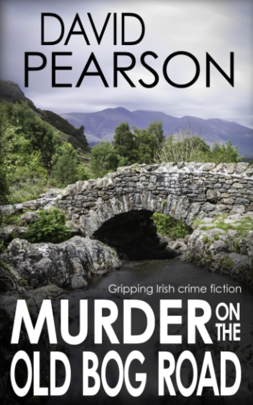 MURDER ON THE OLD BOG ROAD: gripping Irish crime fiction (The Galway Homicides)