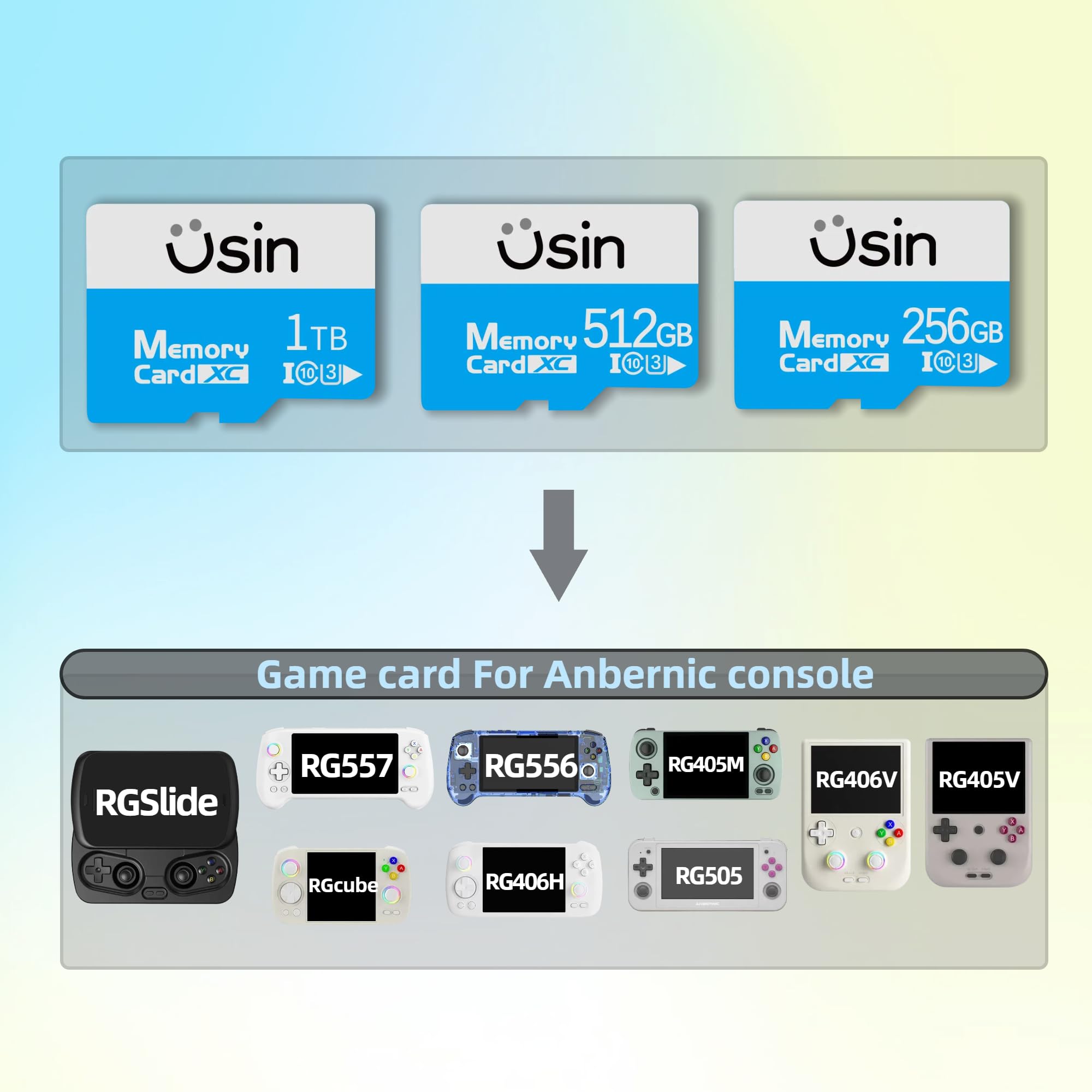 Amazon.com: Usin Game Card for Anbernic Handheld Console, 256GB