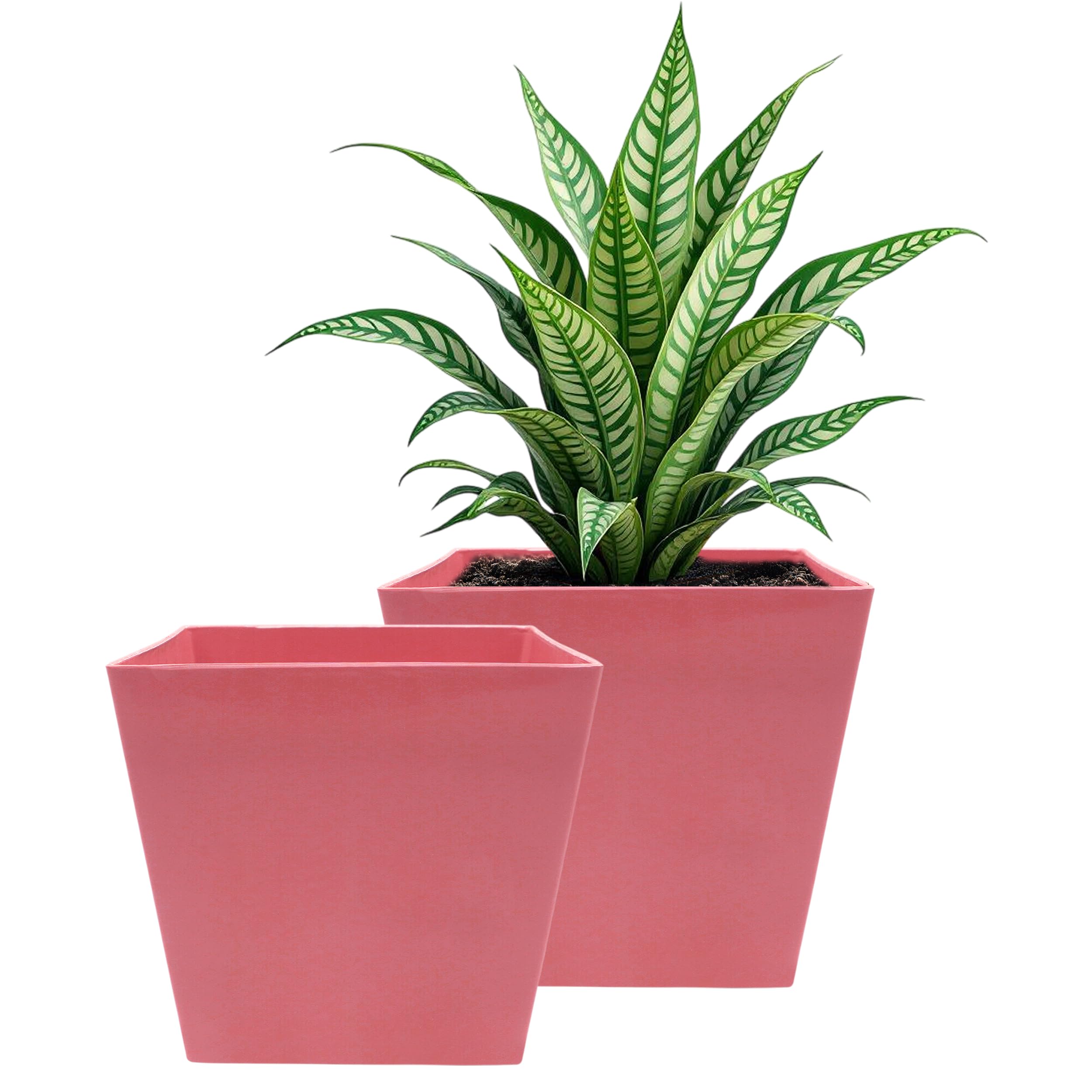POTS4NATURE Square Pots for Plants | Lightweight Plastic Flower Pot for Indoor & Outdoor Home/Office/Table/Garden/Balcony Decoration | Terracotta Color | 6 Inches (Pack of 2)-image-31