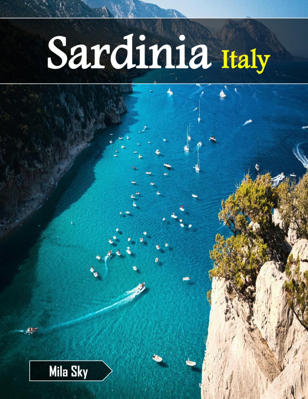 Sardinia Italy: A Luxury Coffee Table Book of Iconic Landmarks