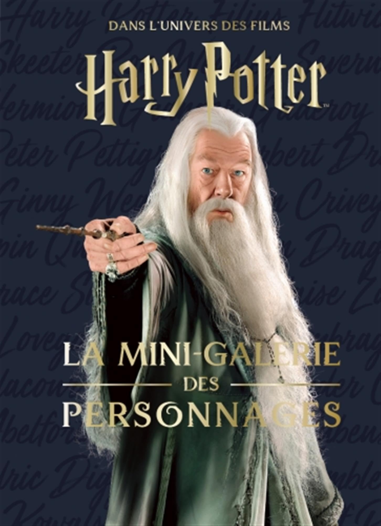 Les mini-grimoires Harry Potter T9 : la mini-galerie des personnages
