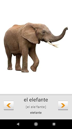 Aprendemos palavras espanholas com Smart-Teacher