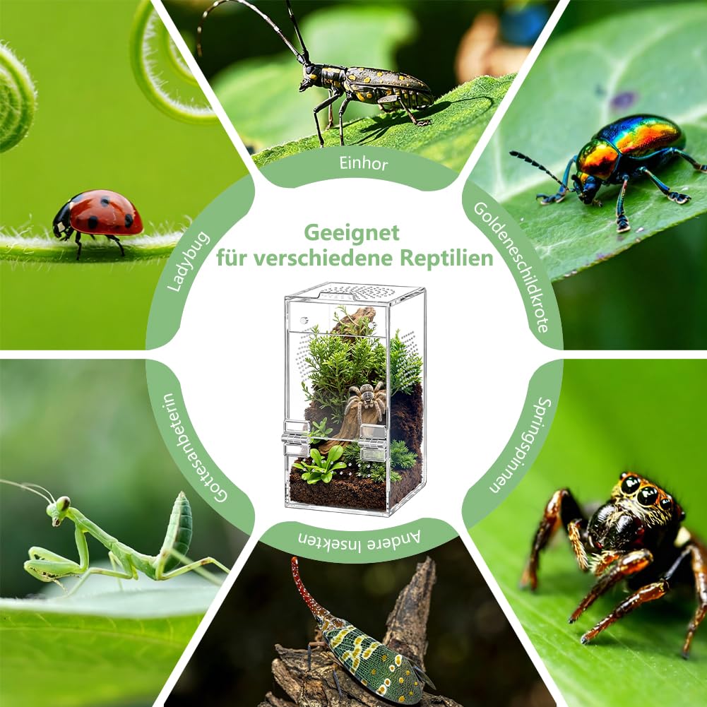 Akrylowe terrarium na pająki, 15,2 x 7,6, 7,6 cm, prostokątna wentylacja poprzeczna 360°, wstępnie zmontowany wybieg dla ślimaków, chrząszczy, ptaszników, żab i małych gadów