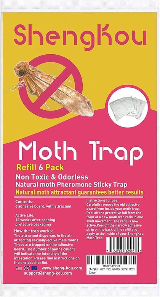 Easy and Effective Pantry Moth Traps The Best Options