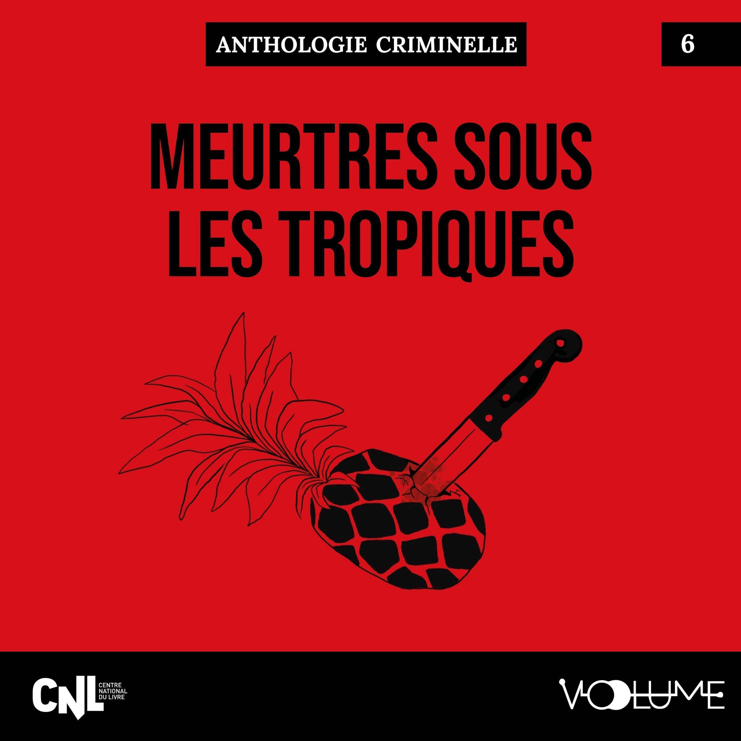 Cover art for Meurtres sous les tropiques