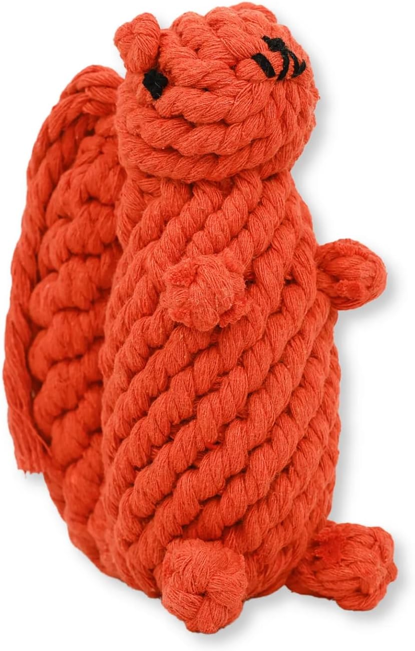 Bucky The Squirrel Dog Toy Handmade Eco Cotton Rope Squirrel Toy for Dogs – Natural, Non-Toxic Dyes, Dog Chew Toys for Small & Medium Breed Dogs, Cats (Small)