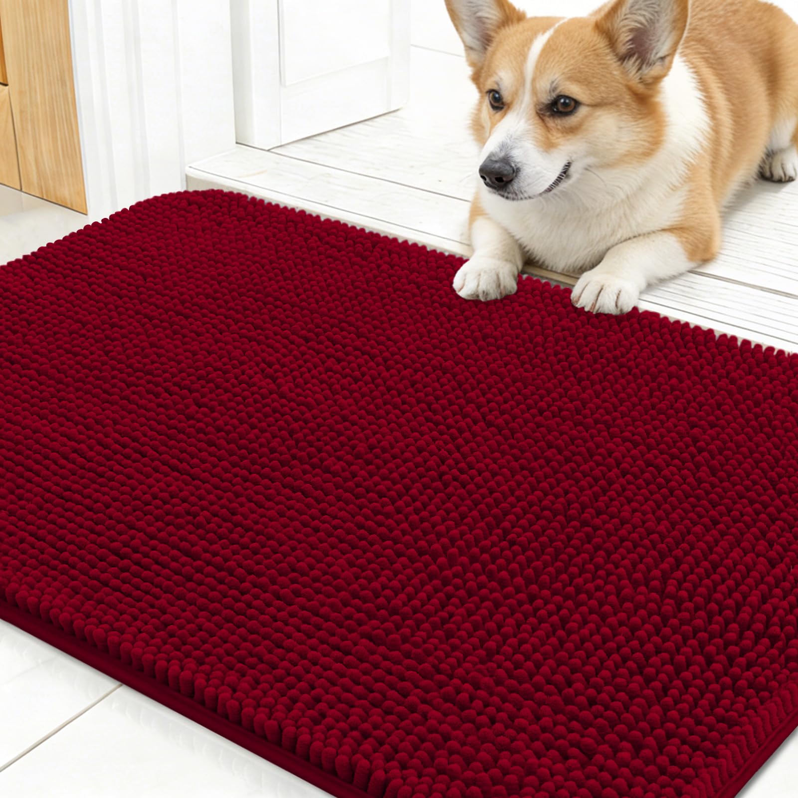 OLANLY Dog Door Mat for Muddy Paws 24x16, Super Absorbent Chenille Mud Mat