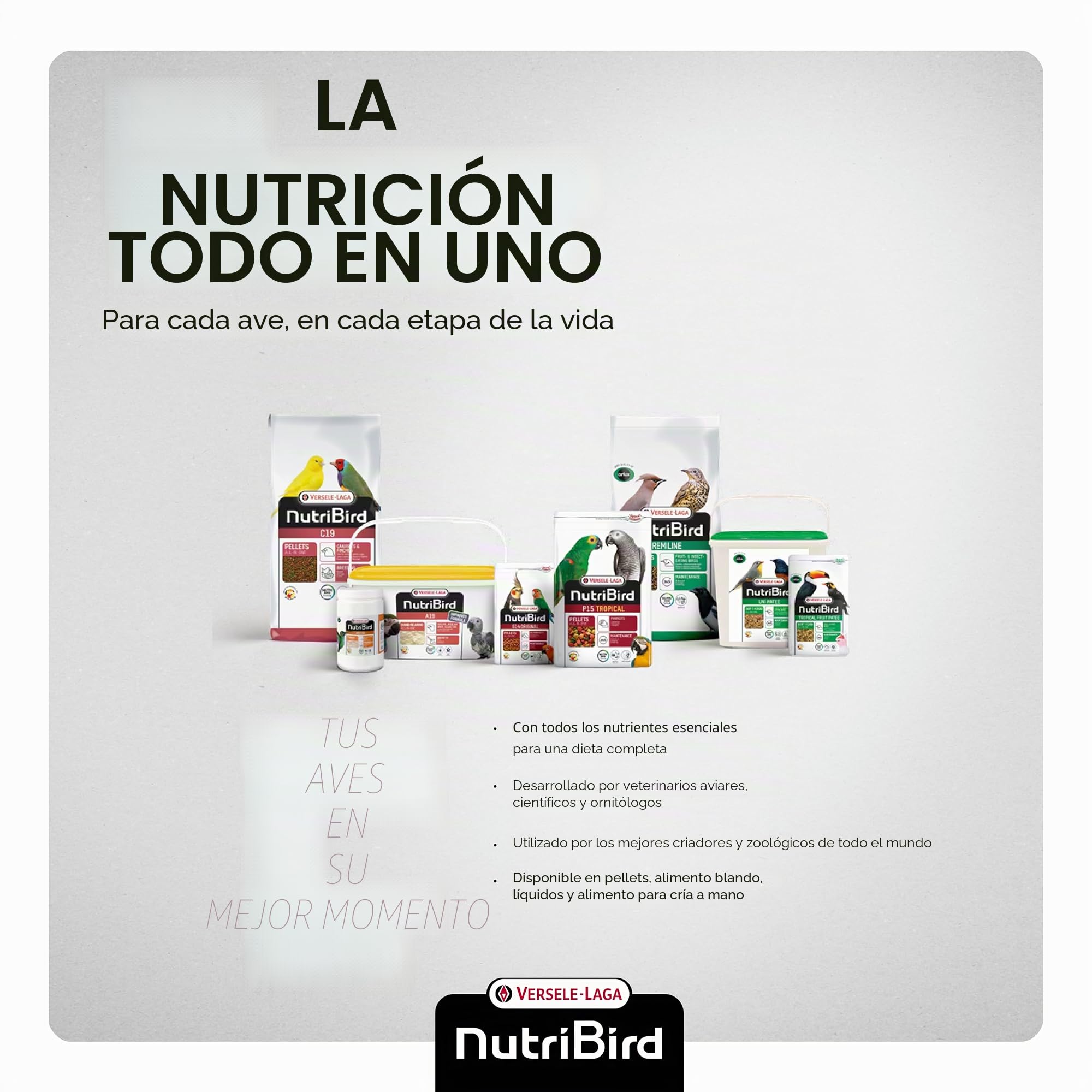 Nutribird A19 - Alimentos para criar manualmente (3 kg)