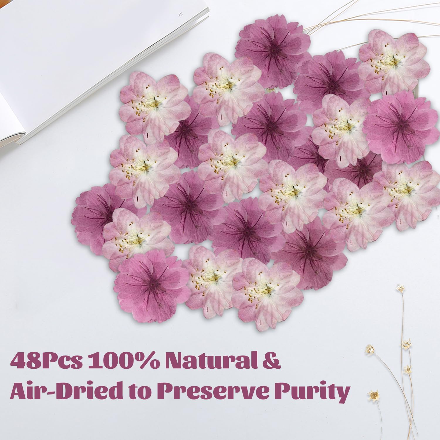 CENCERY 48 Pcs Natural Dried Flowers, Cake Decoration, Cupcake Toppers and Cocktail Garnish (Sakura Cherry Blossoms) - Image 2