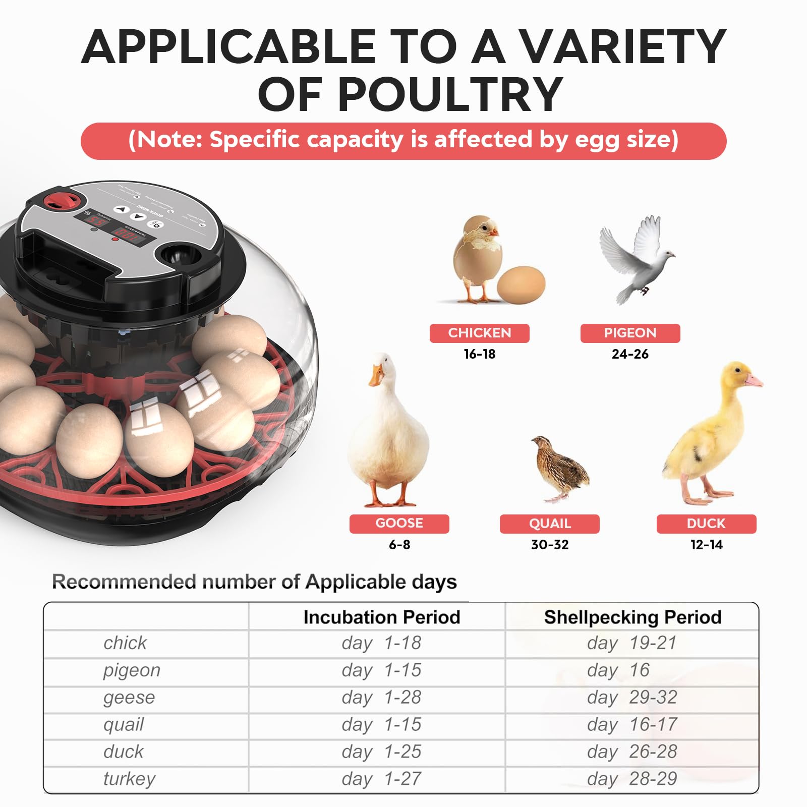 Incubadora de Huevos, Incubadora de 12 Huevos con Volteo Automático de Huevos y Humidificación automática, Incubadora para Huevos de Gallina, Codorniz, Pato, con Lámpara de Huevo