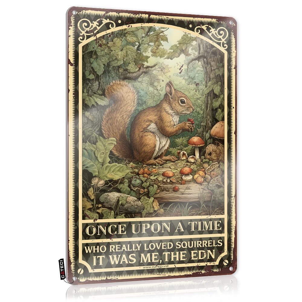 Vpguqarfr Girls Colour Posters Tin Ready To Hang - Once Upon A Time There Was A Who Really Loved Squirrels Gift For Coworker For Balcony(30X40cm)