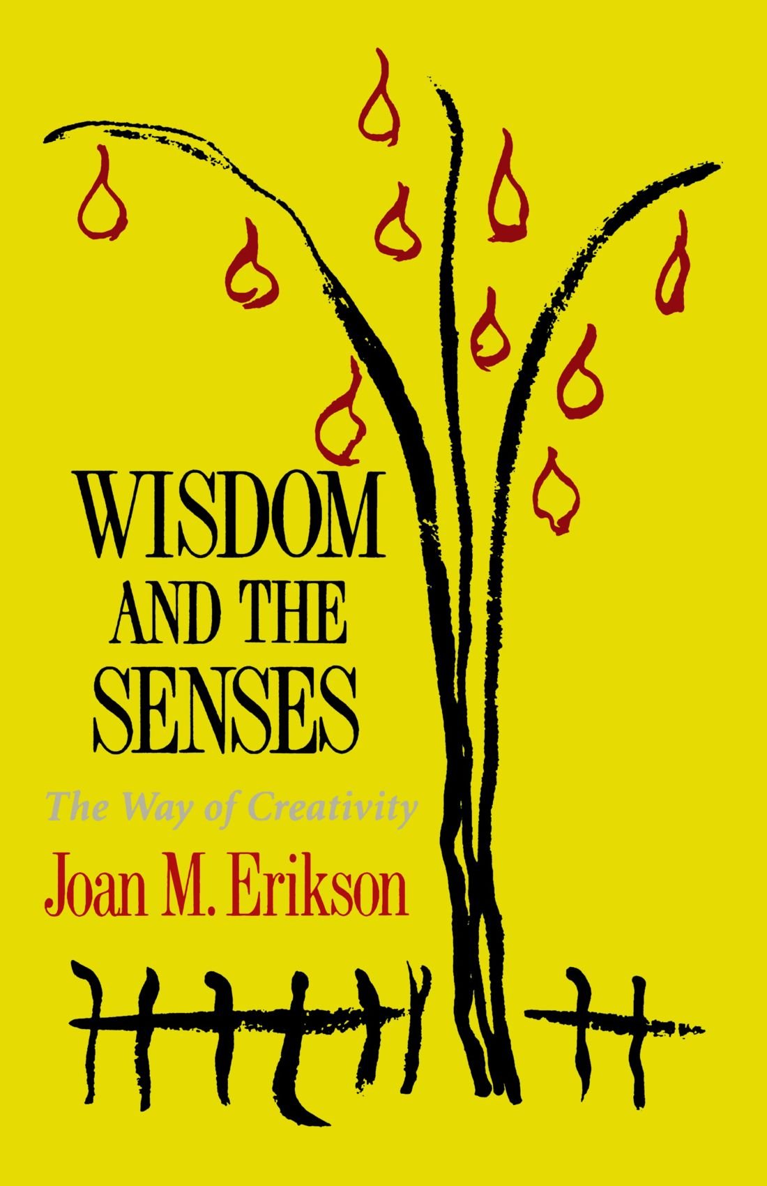 Wisdom and the Senses: The Way of Creativity,Joan.m. Erikson